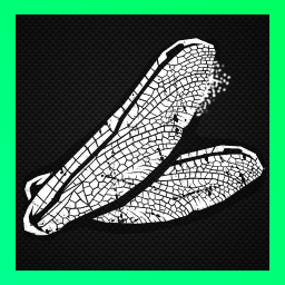 Крылья стрекозы