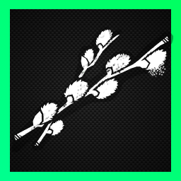 Сережки из ивы